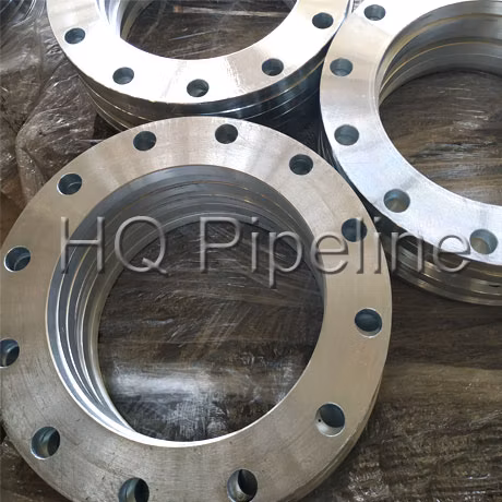 GOST 12820/12821-80, GOST 33259-15, 31803 32750 En1092 Type01, DIN2633 C22.8, Rst37.2 Class150/300/600/900, P250gh, P245gh Forged Wn/Weld/Welding Neck Flanges