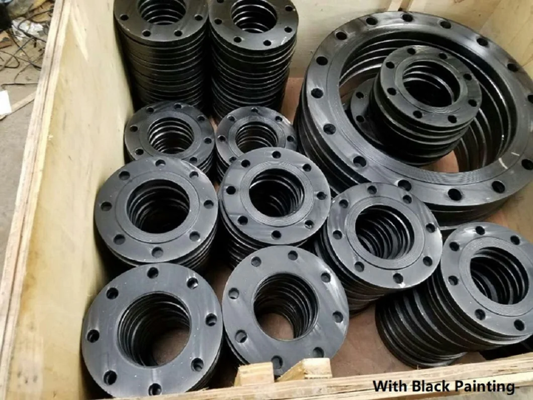 Welding Forged Weld Neck Thread Slip on Blind Flat Plate Carbon Steel Stainless Flange