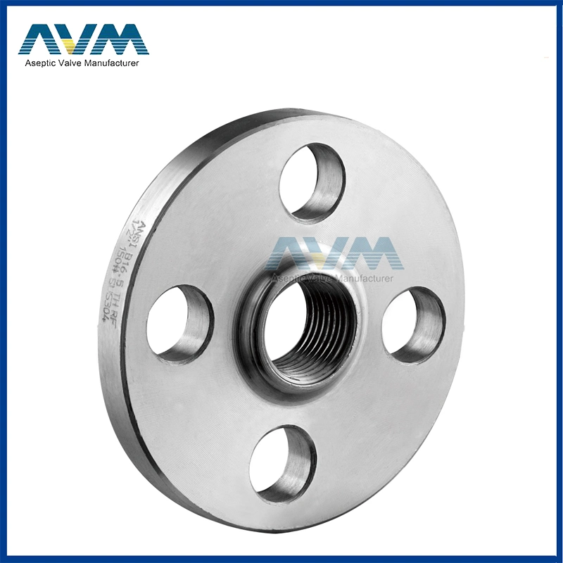 DIN Welding Neck Forged Flange F304 Stainless Steel