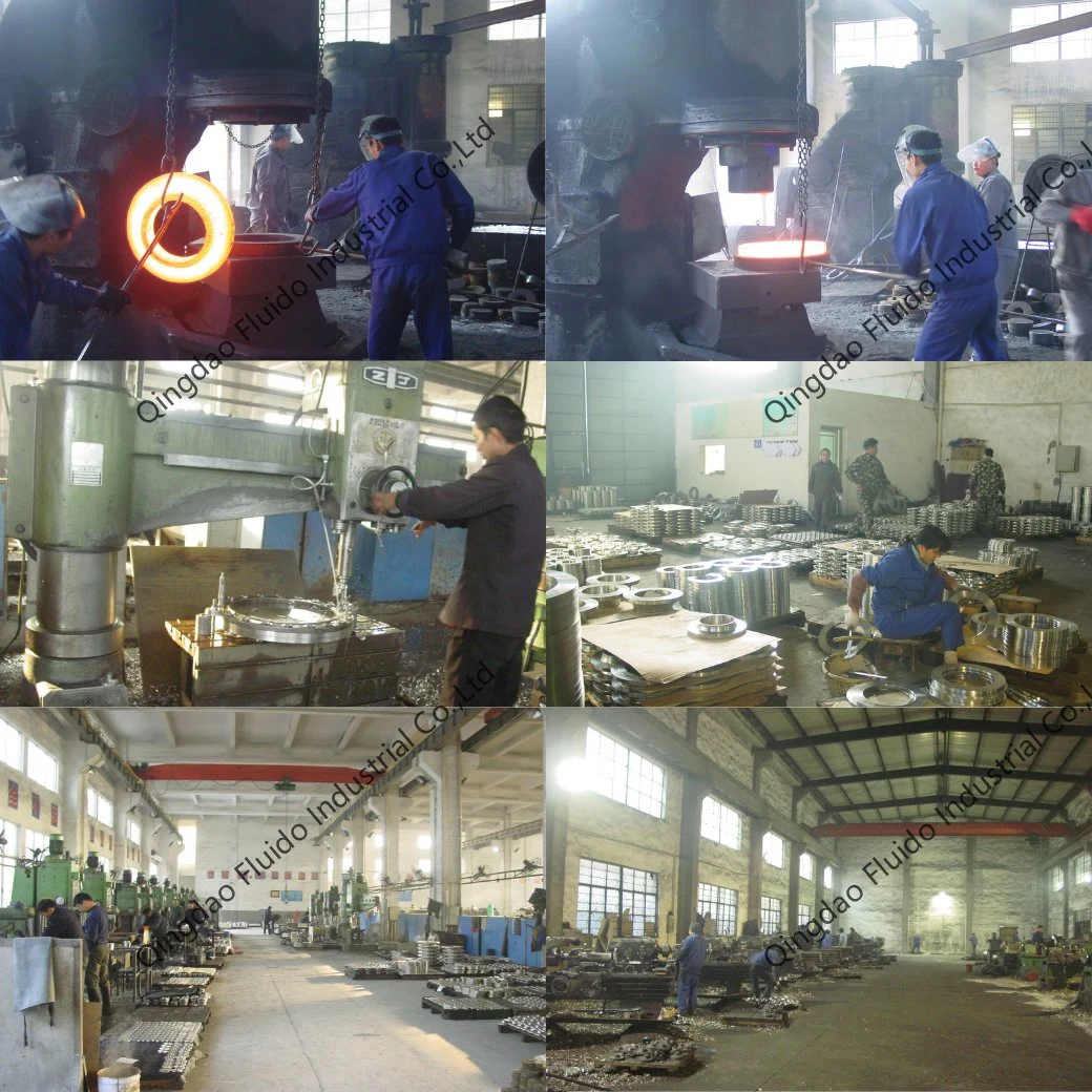 ANSI DIN En1092 Carbon Steel Forged Pipe So/Welding Neck/Plate/Thread/Lap Joint Flange with Black Painting