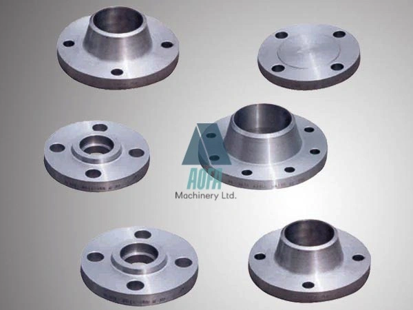 Customized SS304 Forged Steel Round Flange Long Weld Neck Flange
