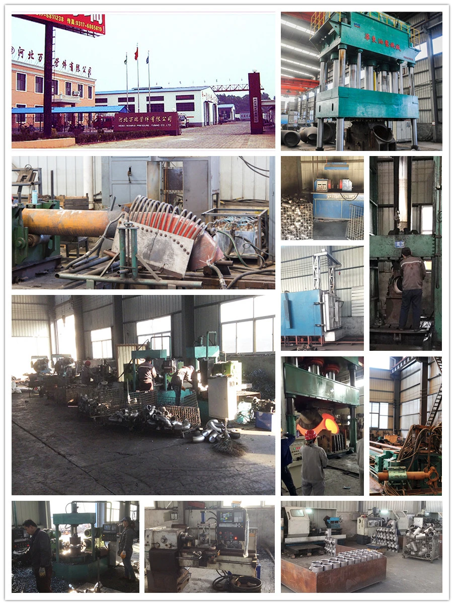 Carbon Steel Fange 150#300#900# RF Flange ASME/ANSI/DIN/GOST/BS En Forged Wn/So/Threaded/Plate/Socket/Blind Flange Pn16/Pn25